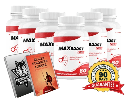 Max Boost Plus 6 Bottles